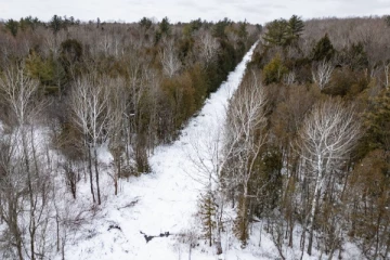 அமெரிக்க எல்லைக்கு அருகே காணாமல் போன பெண் மற்றும் இரண்டு குழந்தைகள்