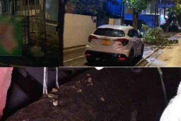 மினி சூறாவளி ....சுழறன்றடித்த காற்று; கொழும்பில் வீடுகளுக்கு பெரும் சேதம்