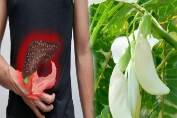 அடிக்கடி இந்த கீரையை மறக்காமல் சாப்பிடுங்கள்! இனி இரத்த ஓட்டம் சூப்பரா வேலை செய்யும்