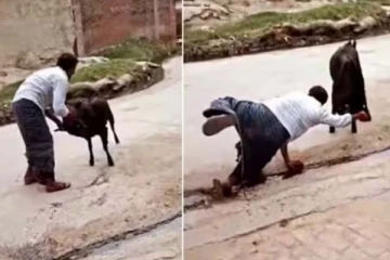 ஆட்டை சீண்டிய மனிதருக்கு கிடைத்த பெரிய தண்டனை! சிரிக்காமல் பார்ப்பீர்களா?