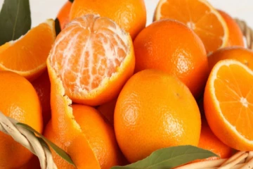 குப்பை என தூக்கி எறியும் இந்த இரண்டு பொருள்களில் இவ்வளவு நன்மைகளா?