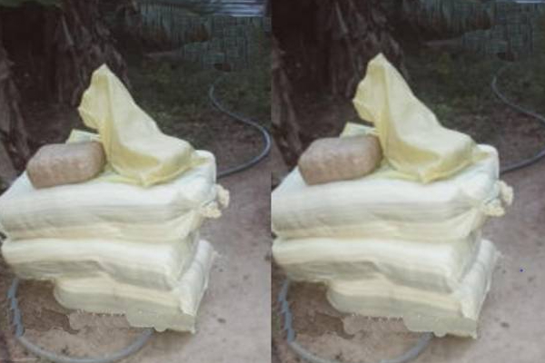 சுழிபுரம் மத்தியில் கணவன் - மனைவியை அதிரடியாக கைது! சிக்கிய மர்மம் | Chulipuram Cannabis Woman Arrest Police Cid