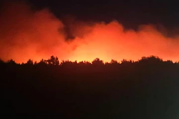 ஒட்டாவா தெற்கில் 100 ஏக்கர் காட்டுத் தீ – அவசரநிலை அறிவிப்பு