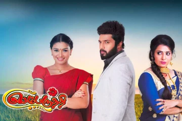 செம்பருத்தி சீரியல் ரசிகர்களுக்கு ஒரு சூப்பர் செய்தி- ரசிகர்களே கொண்டாட தயாரா?