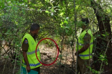 மன்னாரில் உருக்குலைந்த நிலையில் கண்டுபிடிக்கப்பட்டுள்ள சடலம்!