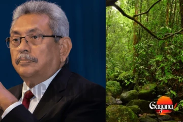 හිතවතුන්ගේ හෝටල් වලට යන්න ගෝඨා සිංහරාජේ හදන්න ගිය පාලමට වුණු දේ