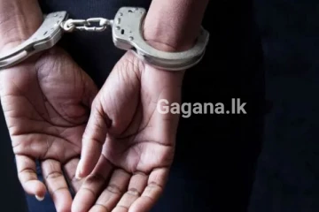 කාන්තාවන් දෙපිරිසක් කෙහෙවලු පටලාගනී - පිරිසක් රෝහලේ..