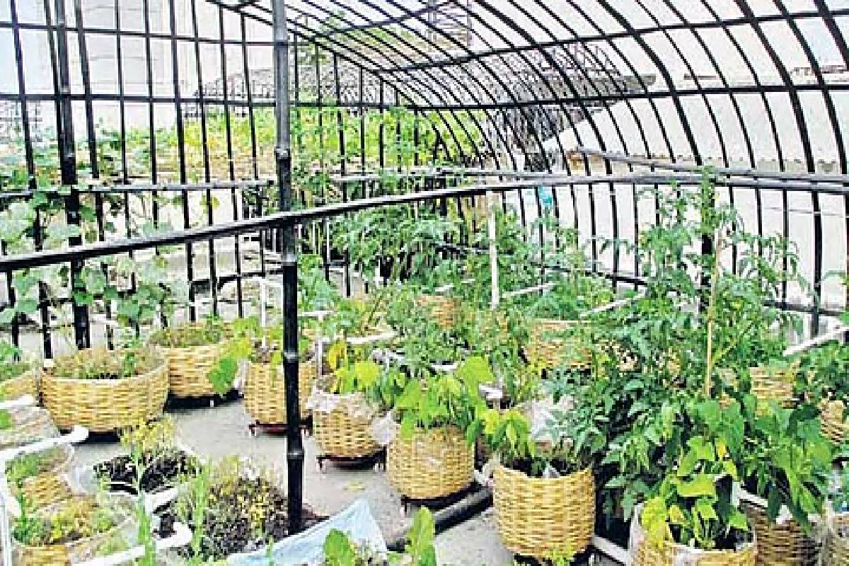 ரூ.17.5 கோடி வீட்டின் பால்கனியில் விவசாயம் செய்யும் நடிகர் மாதவன் - நீங்களும் செய்ய 5 எளிய வழிகள் இதோ! | Madhavan 17 5 Crore Home Balcony Organic Garden ரூ.17.5 கோடி வீட்டின் பால்கனியில் விவசாயம் செய்யும் நடிகர் மாதவன் - நீங்களும் செய்ய 5 எளிய வழிகள் இதோ! | Madhavan 17 5 Crore Home Balcony Organic Garden