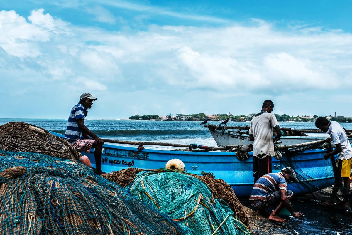 வாக்கு வங்கி உள்ள இடங்களுக்கு மட்டுமே அபிவிருத்தி: மட்டக்களப்பு எம்.பி.க்கள் மீது கடும் குற்றச்சாட்டு | Epdp Urges Npp Mp To Focus On Batticaloa Fishermen