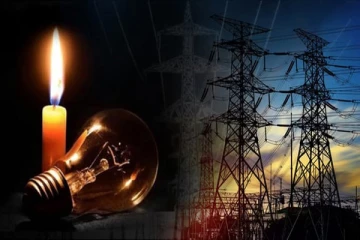 இருளில் மூழ்கிய முழு இலங்கை - மின்தடைக்கு ஒரு குரங்கு தான் காரணமா?