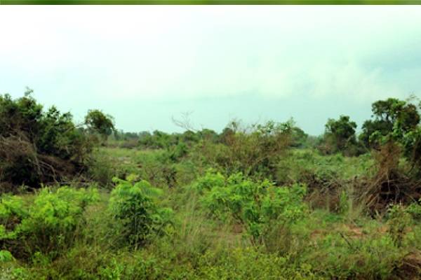 திருகோணமலையில் பாம்பு கடிக்கு இலக்கான சிறுவன் வைத்தியசாலையில் அனுமதி | Snake Bite Boy In Trincomale