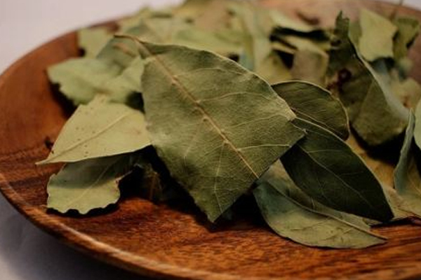 பிரியாணி இலையில் இத்தனை மருத்துவ குணங்களா | Biryani Leaves Have So Many Medicinal Properties