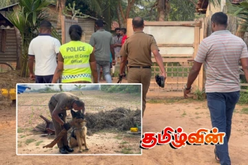 தமிழர் பகுதியில் வீட்டுக்குள் புகுந்து பெண்ணை தாக்கிய மர்ம நபர்.. தீவிர விசாரணையில் பொலிஸார்