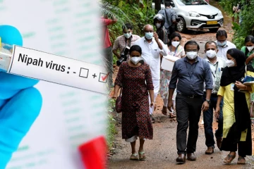 கேரளாவில் நிபா வைரஸ் எப்படி பரவியது? நிபுணர்கள் கூறும் காரணம்!