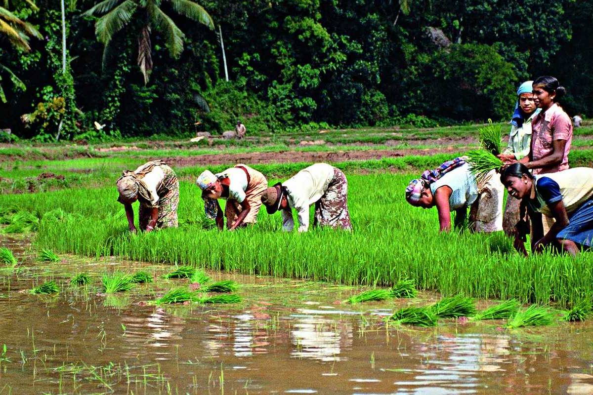 வாழ்க்கைச் செலவு அதிகரிப்பால் பாரிய பிரச்சினைகளுக்கு முகம்கொடுக்கும் நடுத்தர வர்க்கத்தினர்! மொட்டுக்கட்சி குற்றச்சாட்டு | Treasury Is Overflowing Pressure Mottu Party வாழ்க்கைச் செலவு அதிகரிப்பால் பாரிய பிரச்சினைகளுக்கு முகம்கொடுக்கும் நடுத்தர வர்க்கத்தினர்! மொட்டுக்கட்சி குற்றச்சாட்டு | Treasury Is Overflowing Pressure Mottu Party