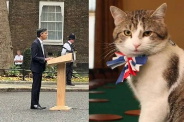 பிரித்தானியாவில் பார்வையாளர்களின் கவனத்தை ஈர்த்த லேர்ரி பூனை!