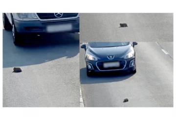 மின்னல் வேகத்தில் பறந்த கார்கள் - நடுரோட்டில் சிக்கித் தவித்த பூனைக்குட்டியின் திக்... திக்... நிமிடங்கள்