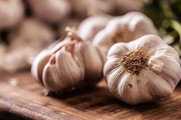 30 நாள் பச்சை பூண்டு – மருந்தா? விஷமா? அவசியம் தெரிஞ்சுக்கோங்க | Eat 30 Days Raw Garlic Medicine Poison What Happen 30 நாள் பச்சை பூண்டு – மருந்தா? விஷமா? அவசியம் தெரிஞ்சுக்கோங்க | Eat 30 Days Raw Garlic Medicine Poison What Happen