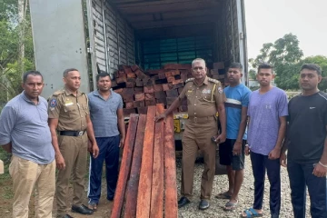 முல்லைத்தீவில் சூட்சுமமான முறையில் மரகடத்தலில் ஈடுபட்ட ஒருவர் கைது