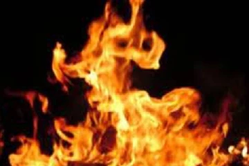 தற்கொலைக்கு முயற்சித்த தாய்! காப்பாற்ற சென்ற மகனுக்கு நேர்ந்த கதி