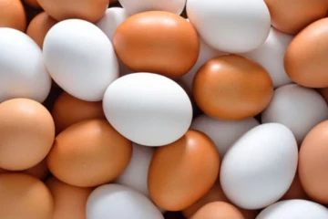 බිත්තර නිසා සුපිරි වෙළද සැලකට මිලියනයක දඩ..