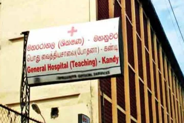 இலங்கையில் மலை ஒன்றில் ஏற வந்த பல்கலைக்கழக மாணவர்களுக்கு நேர்ந்த நிலை!
