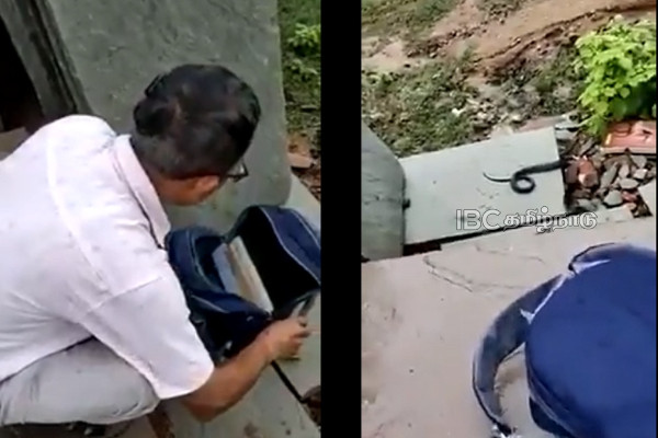 madhya-pradesh-viral-video