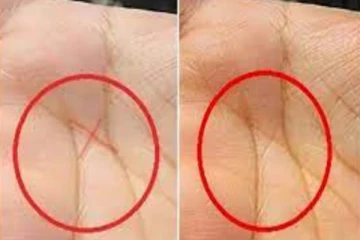 கைகளில் இந்த ரேகை இருந்தால் நீங்கள் தான் கோடிகளில் ஒருவர் - என்ன அதிர்ஷ்டம் கிடைக்கும்?