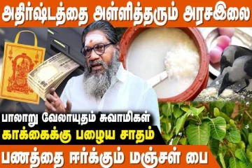 காக்கைக்கு பழைய சாதம் வைக்க வேண்டும்