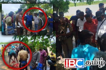 முதலையால் இழுத்துச் செல்லப்பட்டவருக்கு நேர்ந்த கதி