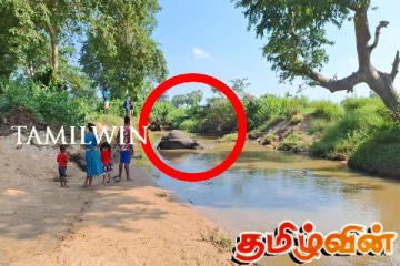 உயிரிழந்த நிலையில் காட்டு யானை ஒன்று மீட்பு
