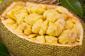 பலாப்பழம் சாப்பிட்ட உடனே தப்பித் தவறி இதை மட்டும் சாப்பிடாதீங்க.... உயிருக்கு ஆபத்து?