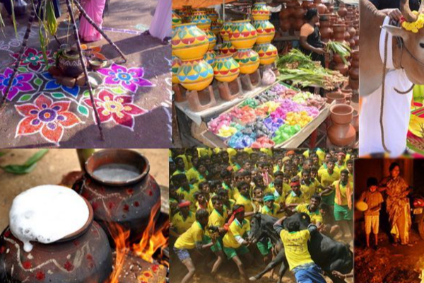 ஈழத்தமிழர்கள் ஒன்றிணைந்து வெளியிடவுள்ள அனைத்துலக தமிழர் பேரவையின் யாப்பு | Inte Tamil Council Will Celebrate Pongal Festival