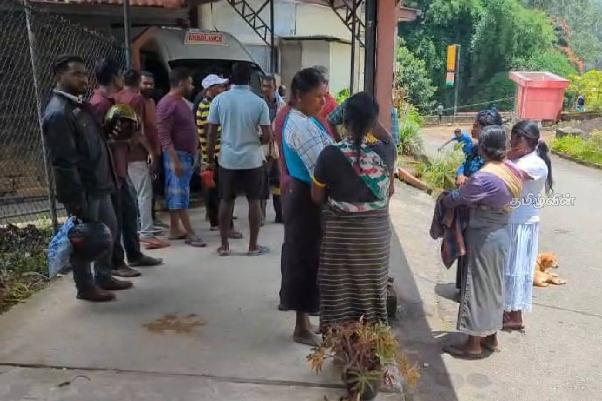 ஹட்டனில் குளவி கொட்டு இலக்கான 17 பேர் வைத்தியசாலையில் அனுமதி | 17 People Stung By Wasps Admitted To Hospital