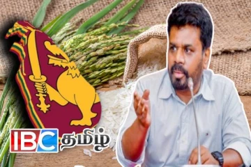 அரிசி மற்றும் நெல் இருப்பு குறித்து அநுரவிடம் கையளிக்கப்பட்ட அறிக்கை