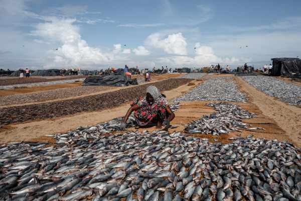 எதிர்கால தமிழர்களின் வாழ்வியலில் கடலியல் கல்வியின், ஆராய்ச்சியின் அவசியம் | Maritime Education Vital For Future Tamils