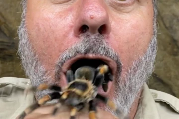 வாயில் இருந்து உயிருடன் வெளிவரும் ராட்சத சிலந்தி... இணையவாசிகளை அலறவிட்ட நபரின் அதிர்ச்சி வீடியோ!