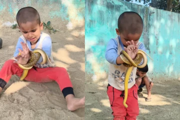 சிறுவனின் கையை கட்டிப்போட்ட பாம்பு-மெய்சிலிர்கும் தருணம்..வைரலாகும் காணொளி