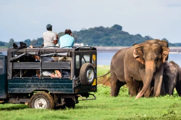 வெளிநாட்டு சுற்றுலாப் பயணிகளினால் யால சரணாலயத்திற்கு 72 இலட்சம் வருமானம்