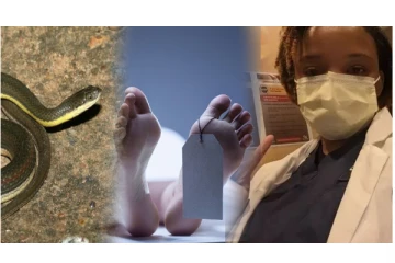 இறந்த நபரின் தொடைக்குள் உயிருடன் நெலிந்த பாம்பு... - பதற வைக்கும் அதிர்ச்சி சம்பவம்...!