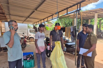 கிளிநொச்சியில் 151 கிலோ மாட்டு இறைச்சி அழிப்பு