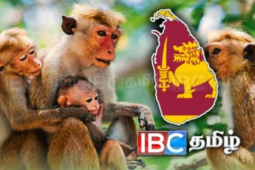 நிறுவப்படும் இலங்கையின் முதல் குரங்குகள் தடுப்பு மையம்!