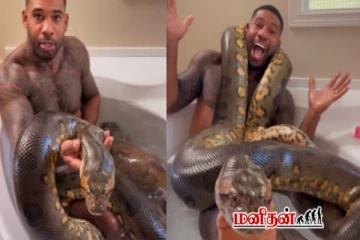 மலைப்பாம்புடன் உல்லாச குளியல் போடும் இளைஞன் - வைரல் காணொளி