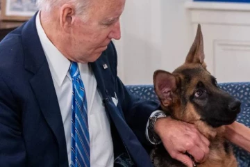 உளவு பிரிவு அதிகாரி ஒருவரை கடித்து வைத்த அதிபர் ஜோ பைடனின் செல்ல நாய்!