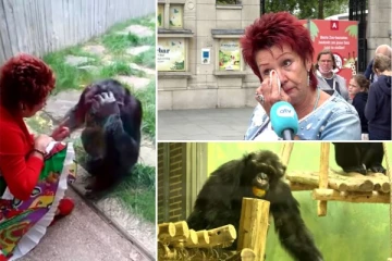 சிம்பன்சியுடன் காதலில் விழுந்த இளம் பெண்ணுக்கு பூங்காவிற்கு நுழைய தடை: ஒற்றை நிபந்தனையுடன் மீண்டும் அனுமதி