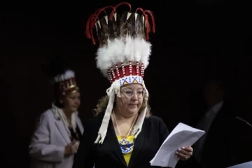 கனடிய விமானத்தில் தலையங்கியினால் ஏற்பட்ட சர்ச்சை