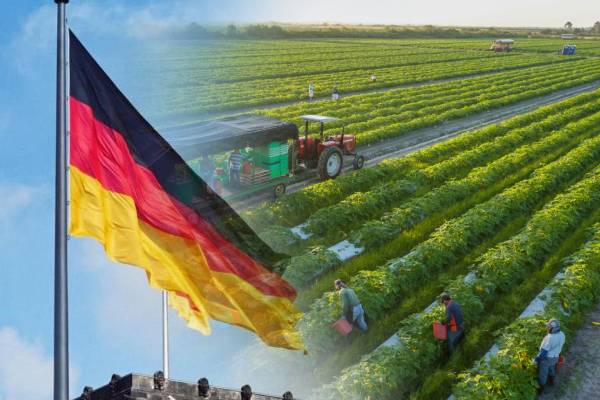 திண்டாடும் இலங்கைக்கு கைகொடுக்க முன் வந்துள்ள ஜேர்மனி! | Germany Forward Lend A Helping Hand To Sri Lanka