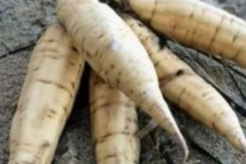 இதை தொட்டால் மரணம் நிச்சயம்; மக்களை எச்சரிக்கும் பிரித்தானிய அரசு