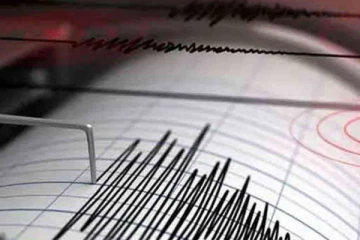 இந்தோனேஷியாவை அதிரவைத்த நிலநடுக்கம் ; 29 பேர் படுகாயம்