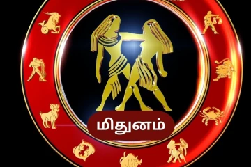 நீங்கள் மிதுன ராசி லக்னத்தில் பிறந்தவர்களா? உங்கள் வாழ்க்கை முழு பலன் இதோ